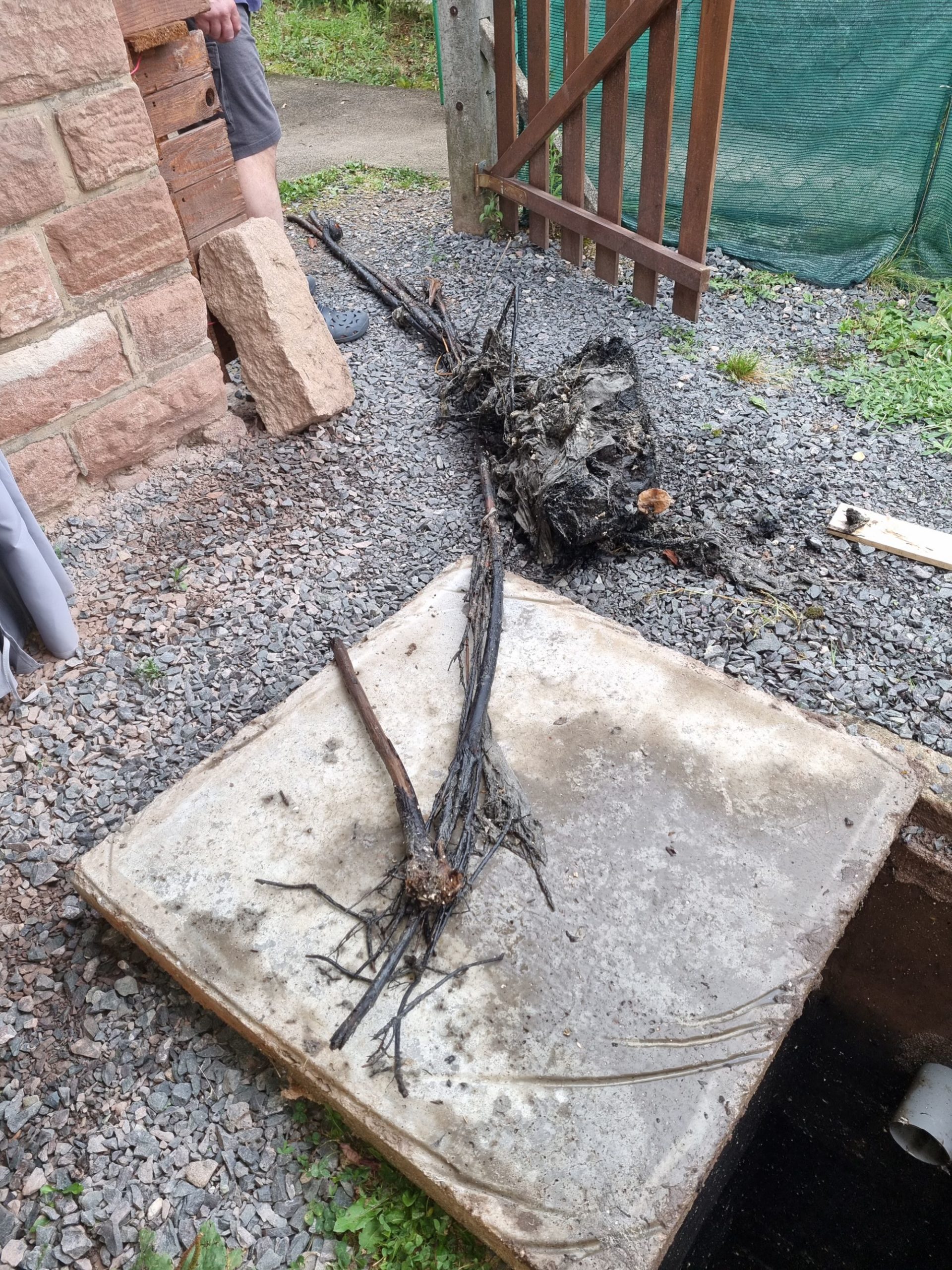 Recyclage des d&eacute;chets et d&eacute;pollution sur le secteur de Nancy et S&eacute;lestat S&eacute;lestat 1